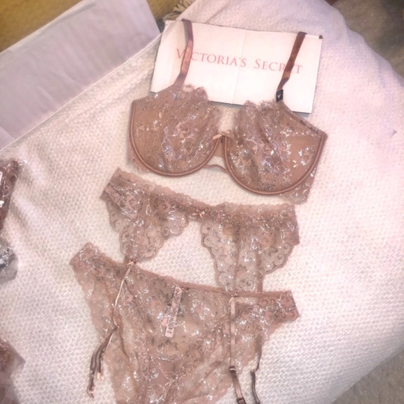Victoria’s Secret Allure Shine Evening Blush Bra /Garter/Cheekini Set NWT 38DDD - Picture 2 of 14